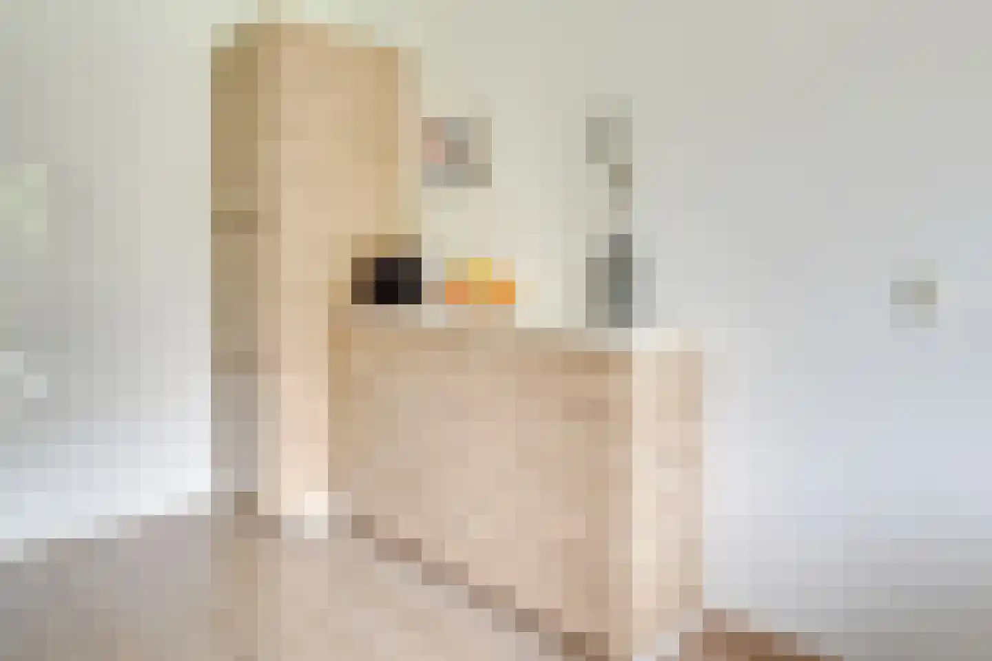 Wageningseberg 218 Utrecht thumbnail 17