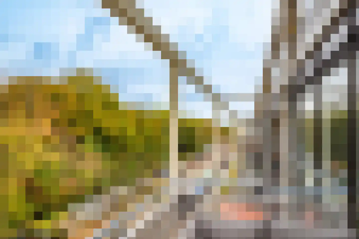 Wageningseberg 218 Utrecht thumbnail 18
