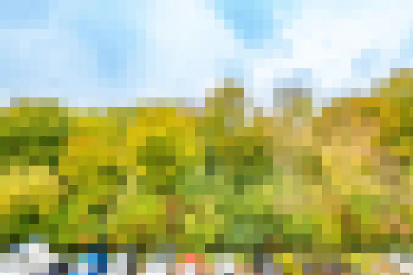 Wageningseberg 218 Utrecht thumbnail 20