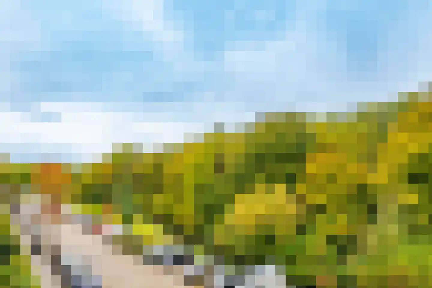 Wageningseberg 218 Utrecht thumbnail 21