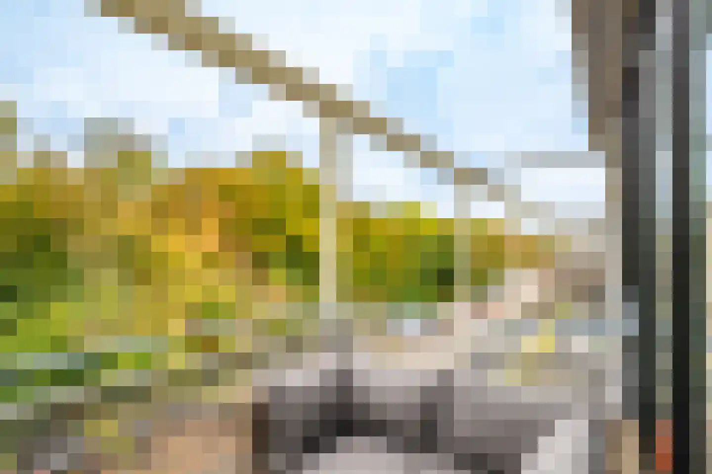 Wageningseberg 218 Utrecht thumbnail 23