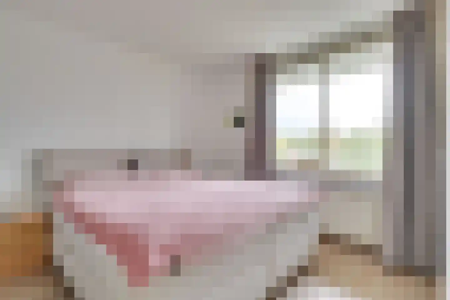Wageningseberg 218 Utrecht thumbnail 26