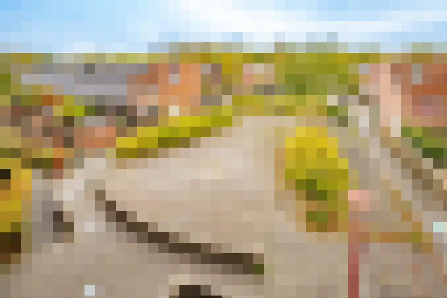 Wageningseberg 218 Utrecht thumbnail 37
