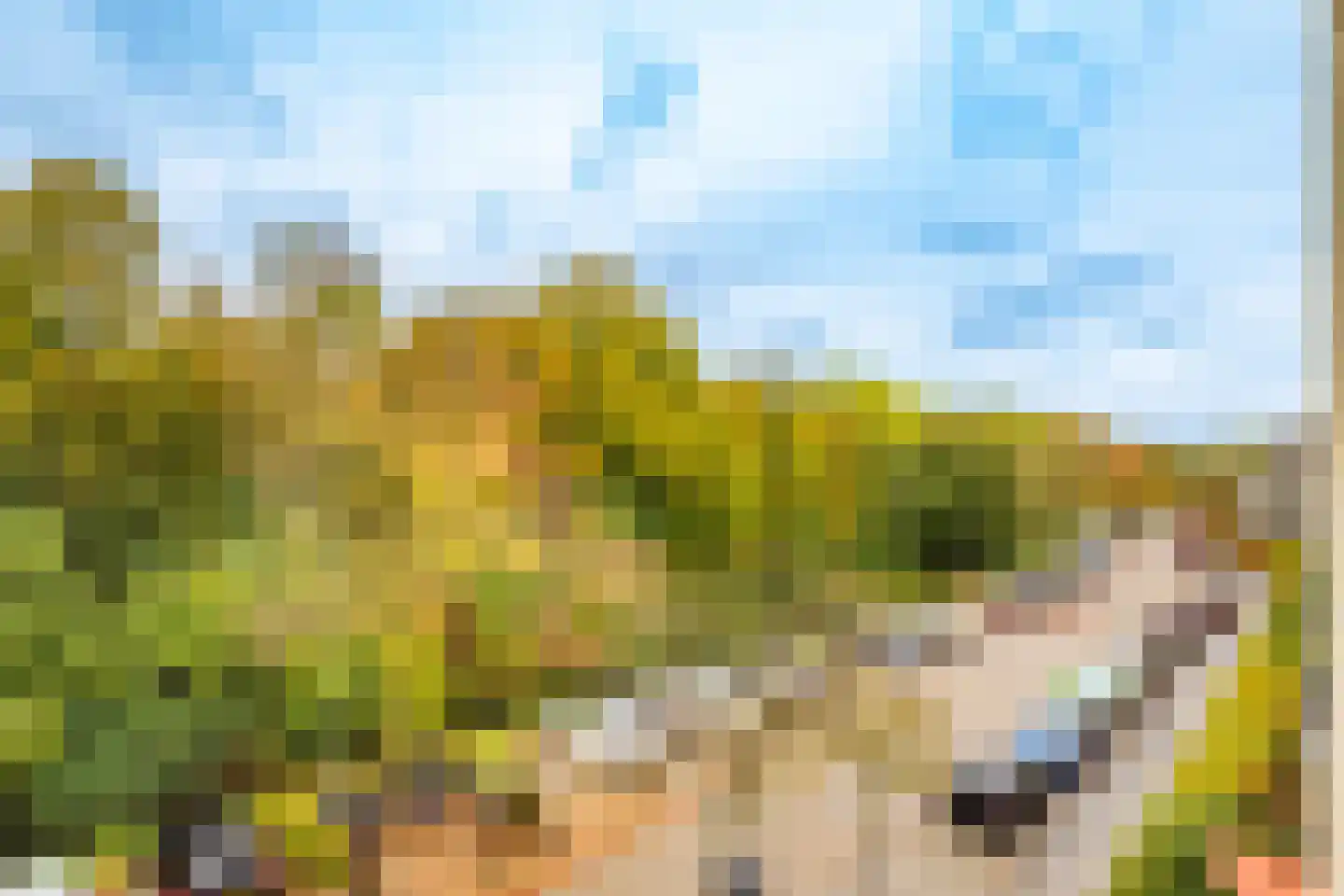 Wageningseberg 218 Utrecht thumbnail 4