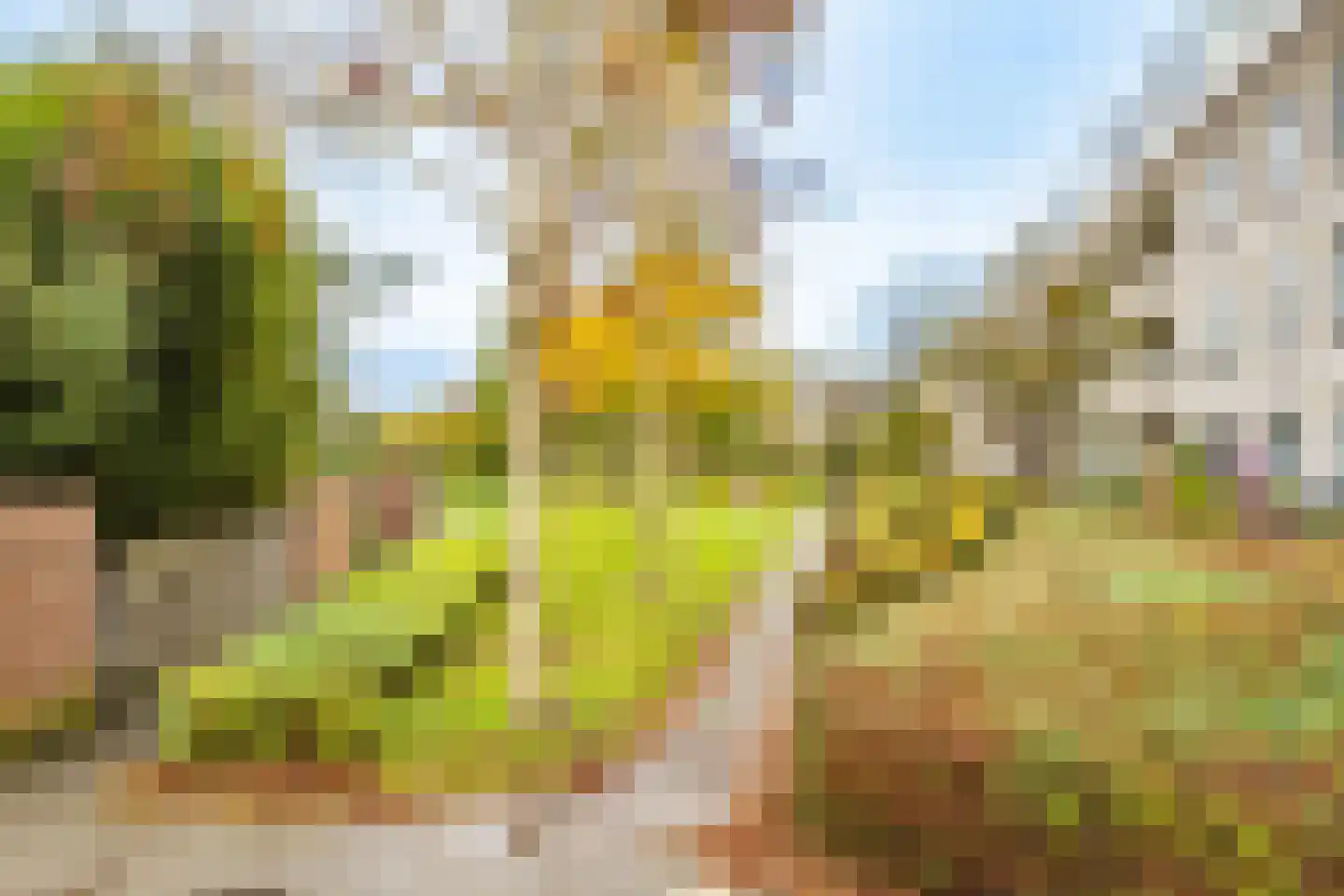 Wageningseberg 218 Utrecht thumbnail 42