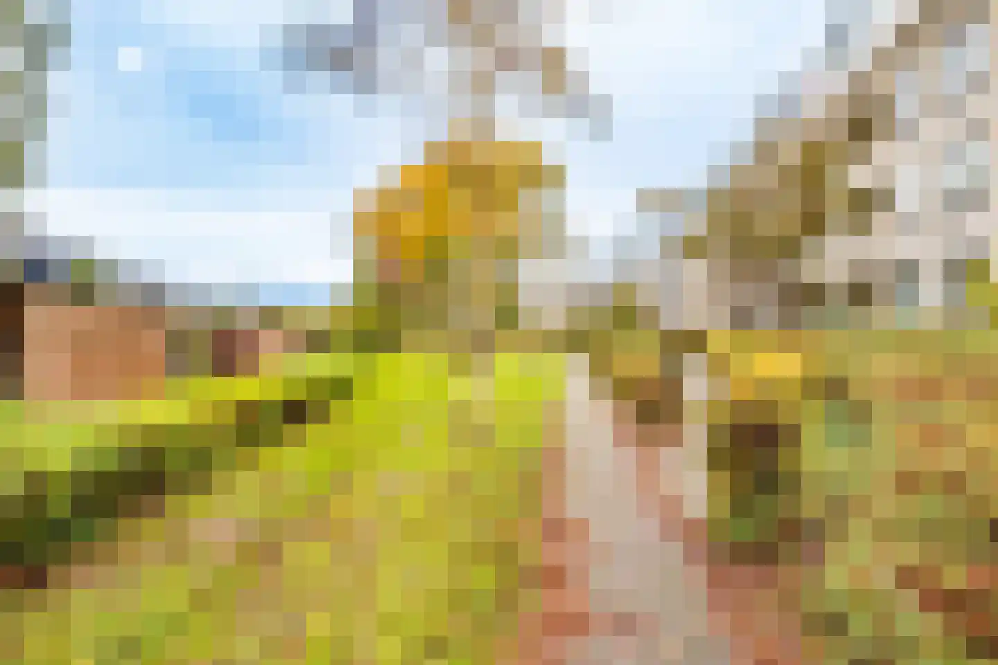 Wageningseberg 218 Utrecht thumbnail 43