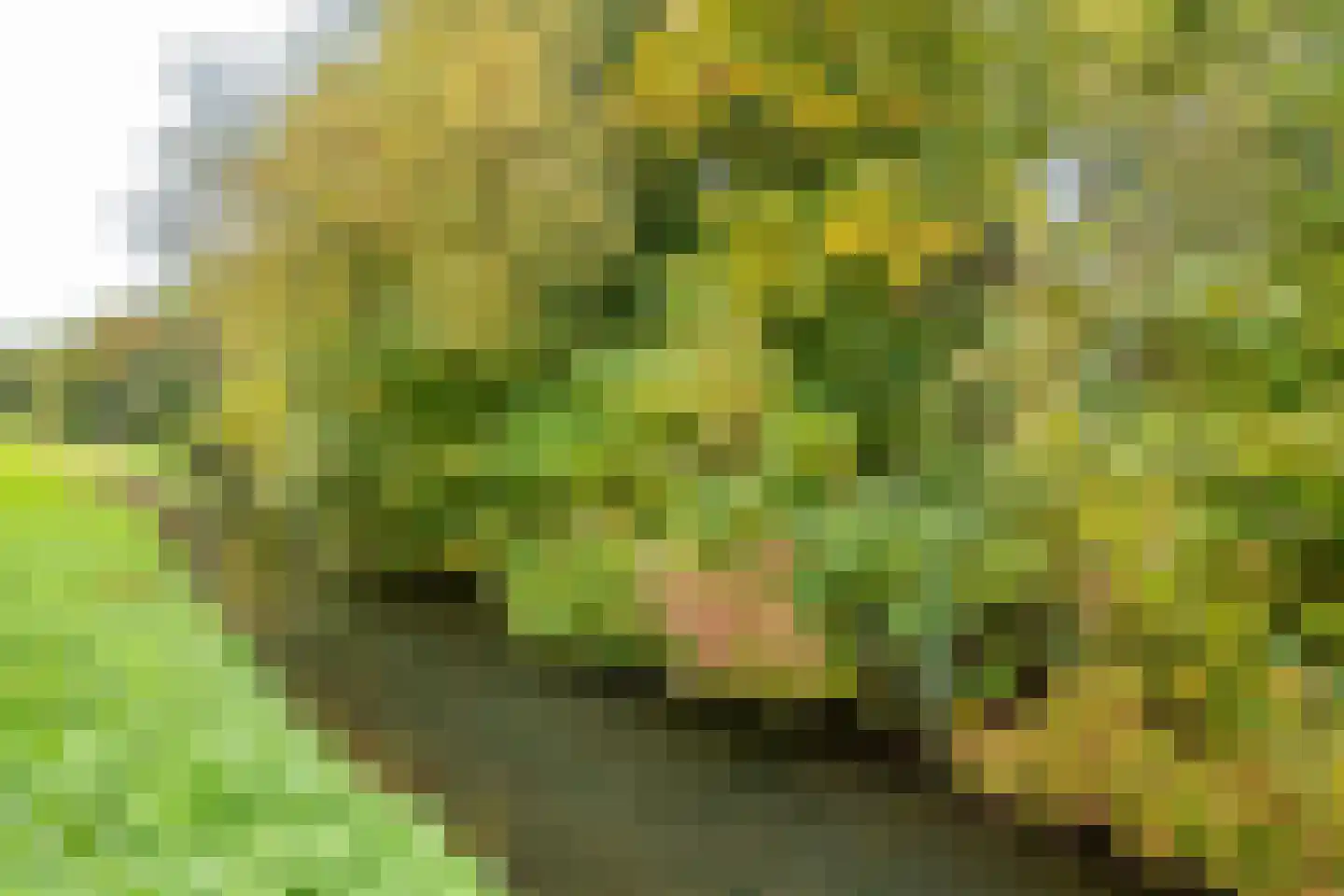 Wageningseberg 218 Utrecht thumbnail 44