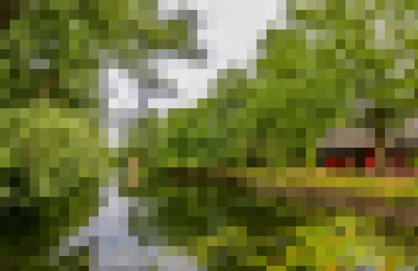 Wageningseberg 218 Utrecht thumbnail 46