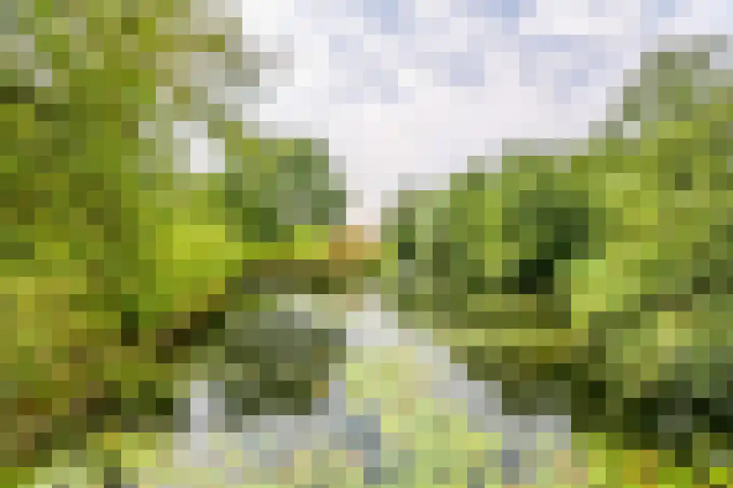 Wageningseberg 218 Utrecht thumbnail 47