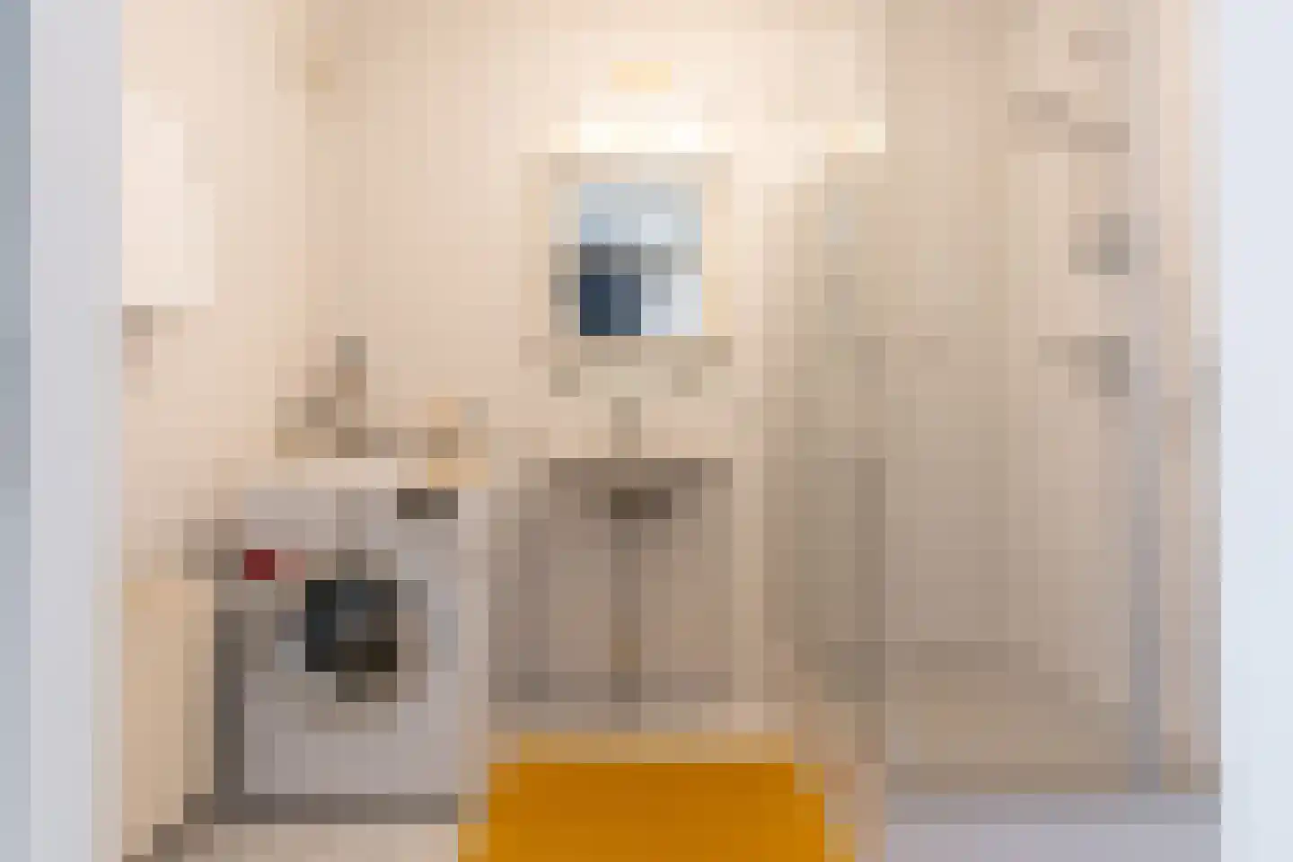 Wageningseberg 222 Utrecht thumbnail 27