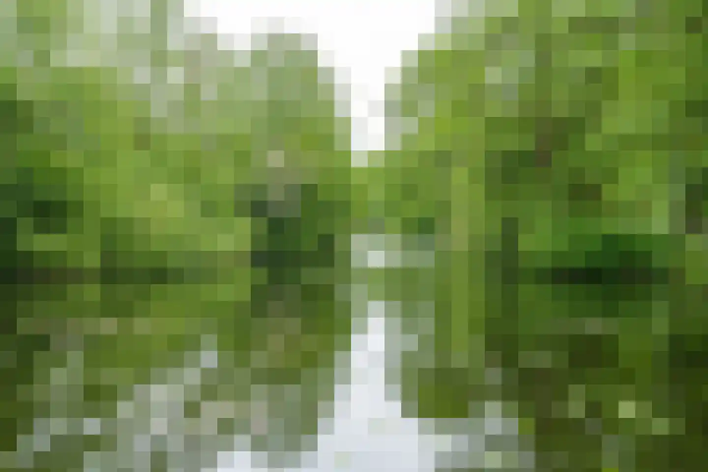 Wageningseberg 222 Utrecht thumbnail 34