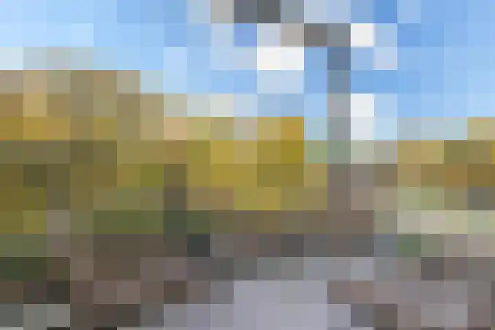 Wageningseberg 24 Utrecht thumbnail 10