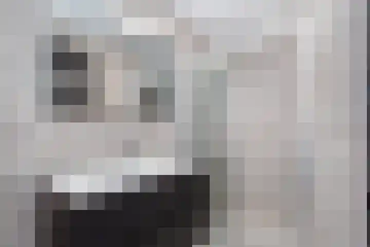 Wageningseberg 24 Utrecht thumbnail 16