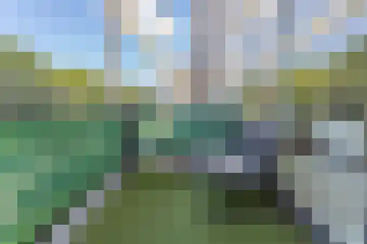 Wageningseberg 258 Utrecht thumbnail 19