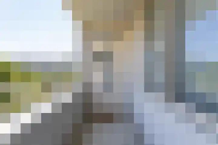 Wageningseberg 258 Utrecht thumbnail 22