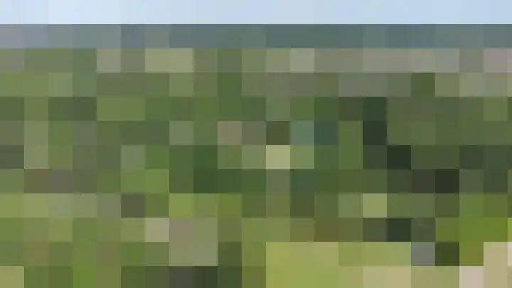 Wageningseberg 258 Utrecht thumbnail 29