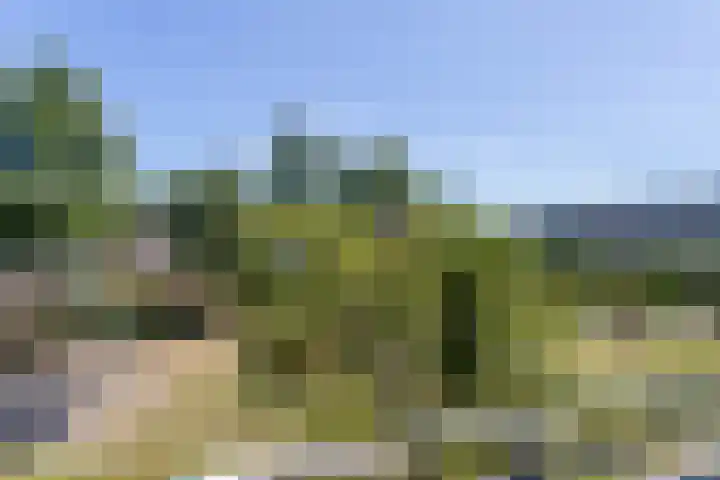 Wageningseberg 258 Utrecht thumbnail 32
