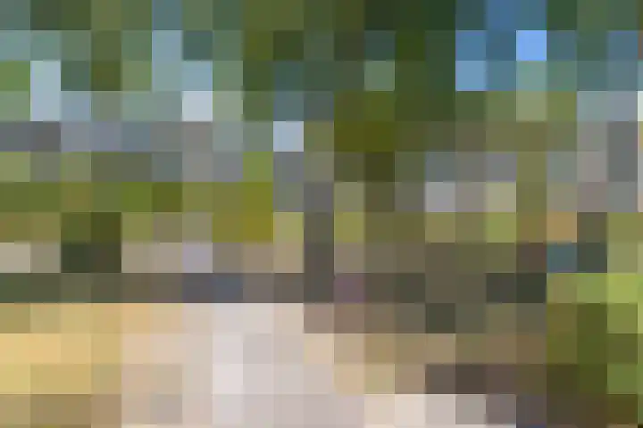 Wageningseberg 258 Utrecht thumbnail 33