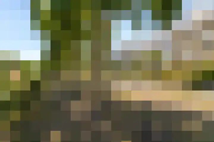 Wageningseberg 258 Utrecht thumbnail 34