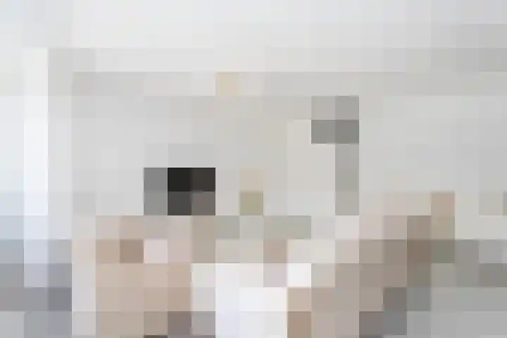 Wageningseberg 258 Utrecht thumbnail 4