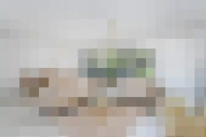 Wageningseberg 258 Utrecht thumbnail 6