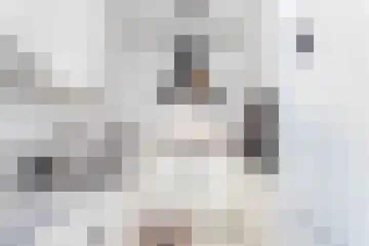 Wageningseberg 258 Utrecht thumbnail 8