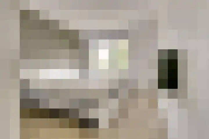Wageningseberg 260 Utrecht thumbnail 13