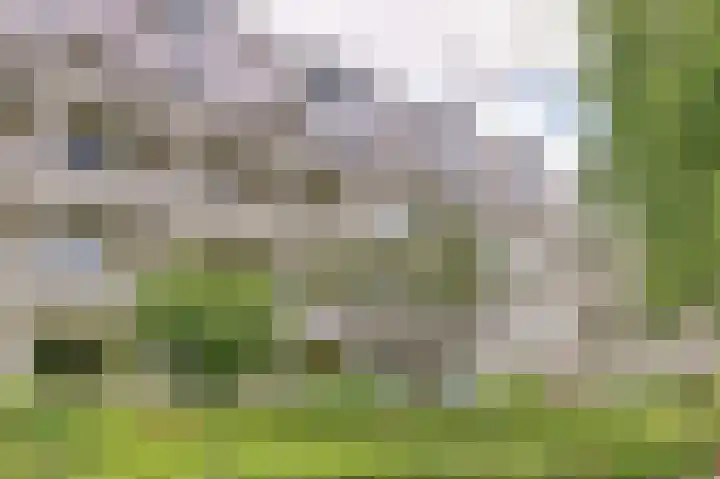 Wageningseberg 260 Utrecht thumbnail 21