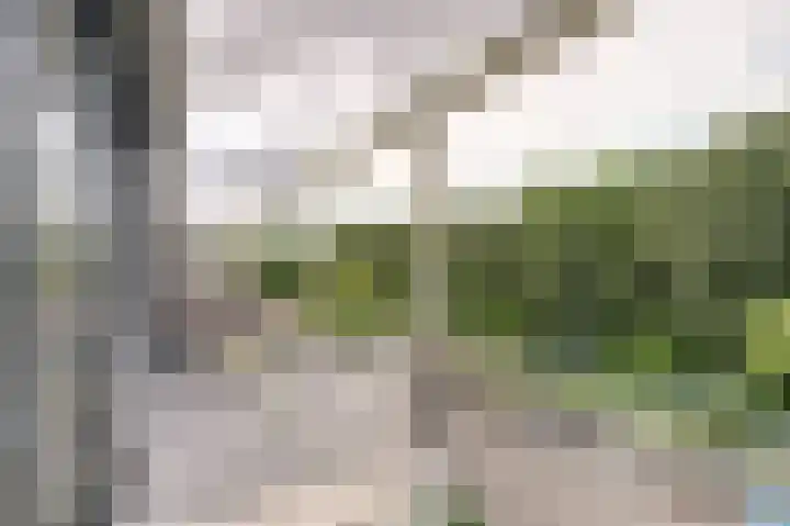 Wageningseberg 260 Utrecht thumbnail 22