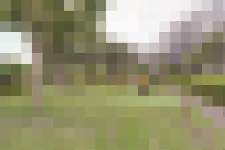 Wageningseberg 260 Utrecht thumbnail 23