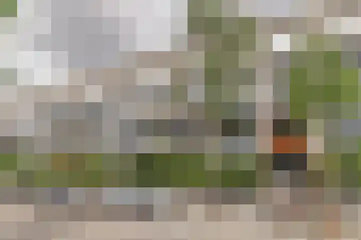 Wageningseberg 260 Utrecht thumbnail 24
