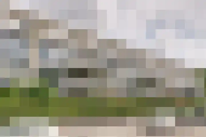 Wageningseberg 260 Utrecht thumbnail 25