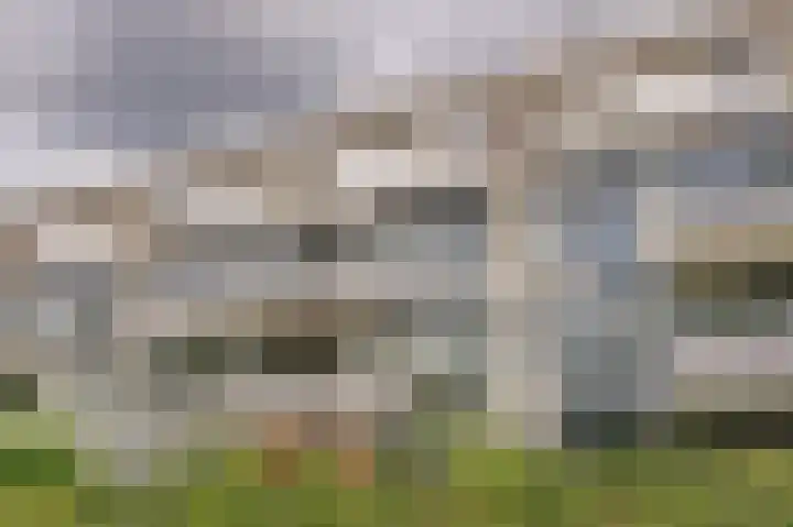 Wageningseberg 260 Utrecht thumbnail 26