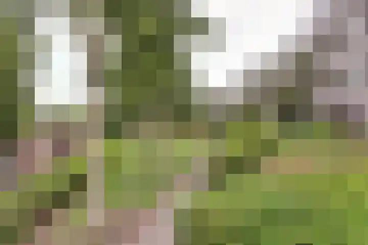 Wageningseberg 260 Utrecht thumbnail 27