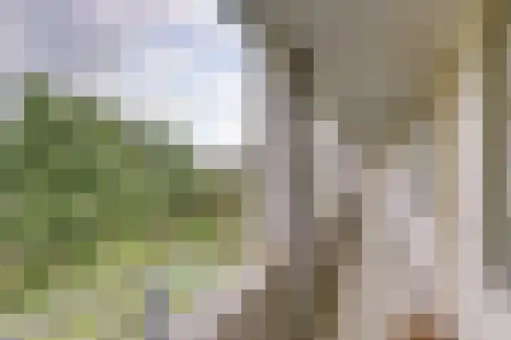 Wageningseberg 260 Utrecht thumbnail 28