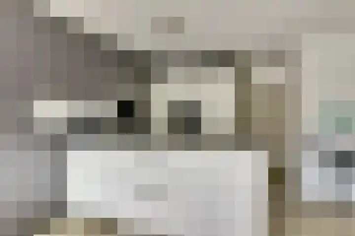 Wageningseberg 260 Utrecht thumbnail 9