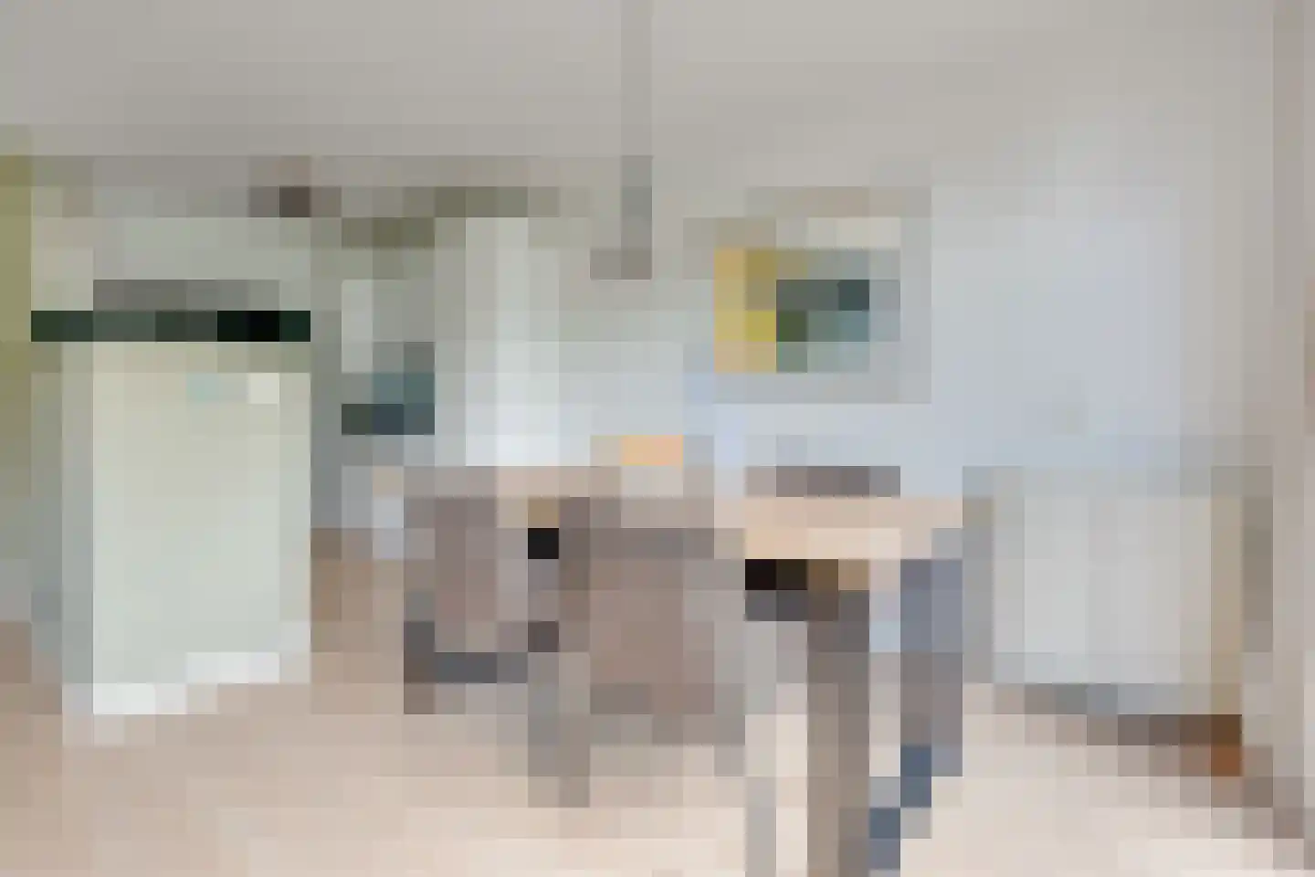 Wageningseberg 262 Utrecht thumbnail 14