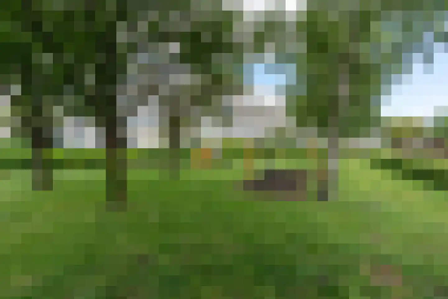 Wageningseberg 262 Utrecht thumbnail 46