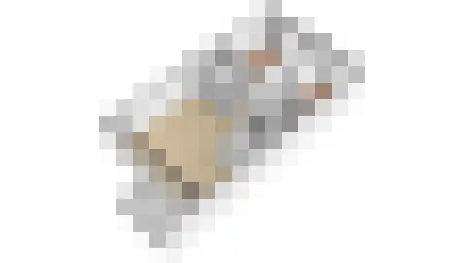 Wageningseberg 262 Utrecht thumbnail 48