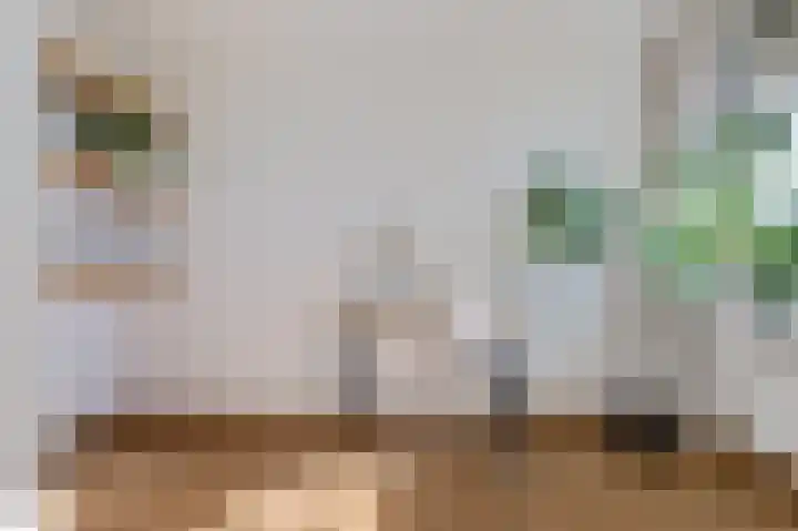 Wageningseberg 268 Utrecht thumbnail 8