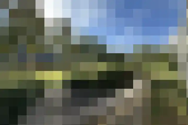 Wageningseberg 268 Utrecht thumbnail 9