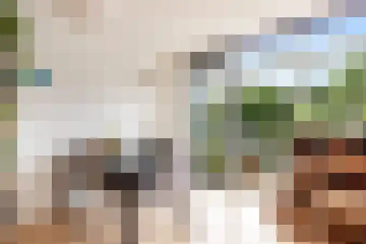 Wageningseberg 270 Utrecht thumbnail 14