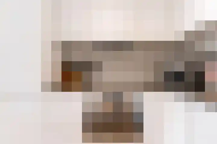 Wageningseberg 270 Utrecht thumbnail 17