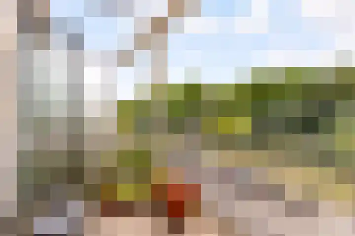 Wageningseberg 270 Utrecht thumbnail 24