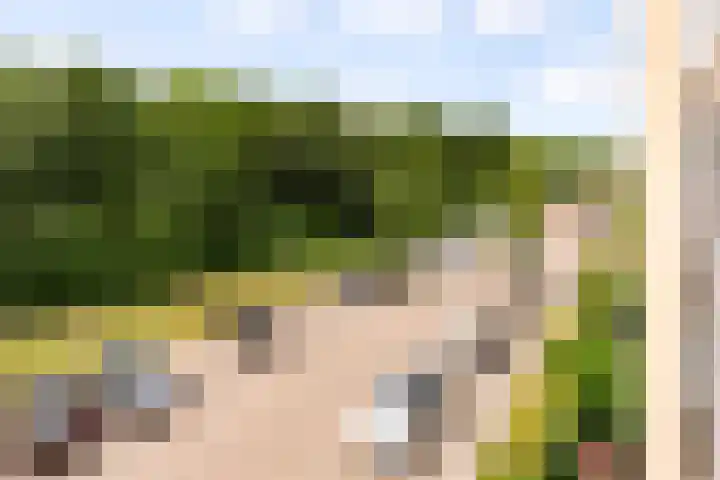 Wageningseberg 270 Utrecht thumbnail 25