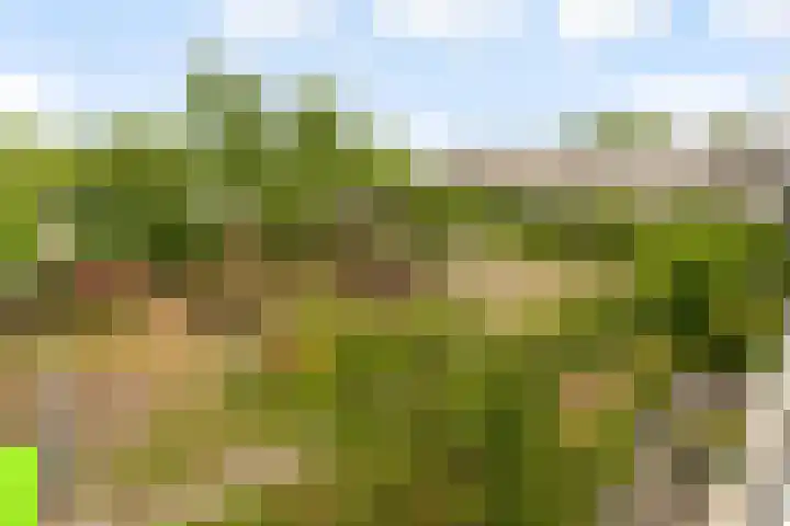 Wageningseberg 270 Utrecht thumbnail 26