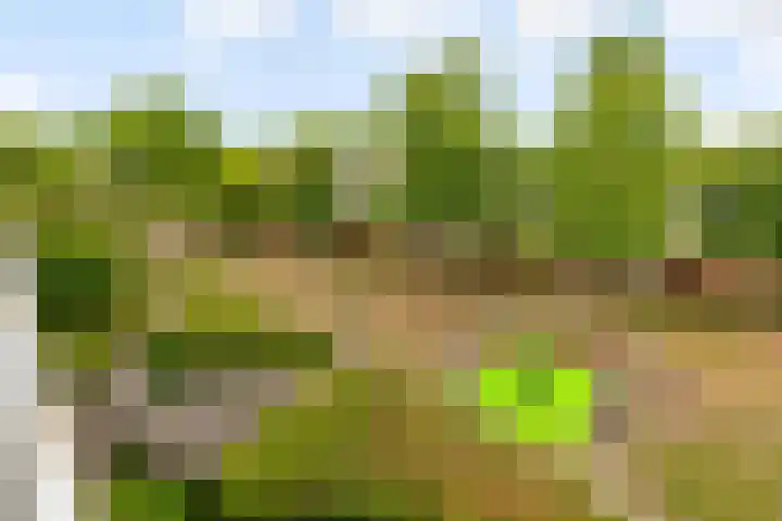 Wageningseberg 270 Utrecht thumbnail 27