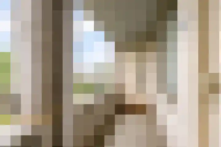 Wageningseberg 270 Utrecht thumbnail 8