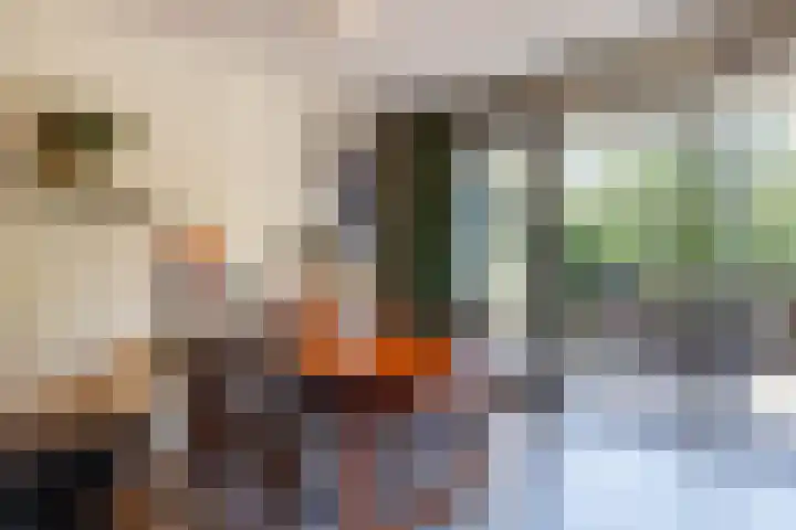 Wageningseberg 286 Utrecht thumbnail 10