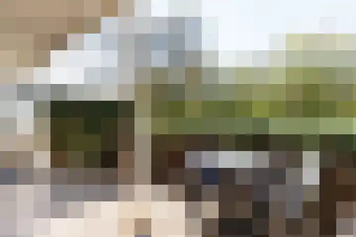 Wageningseberg 286 Utrecht thumbnail 17